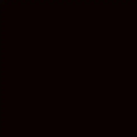 ABSOLUTE BLACK